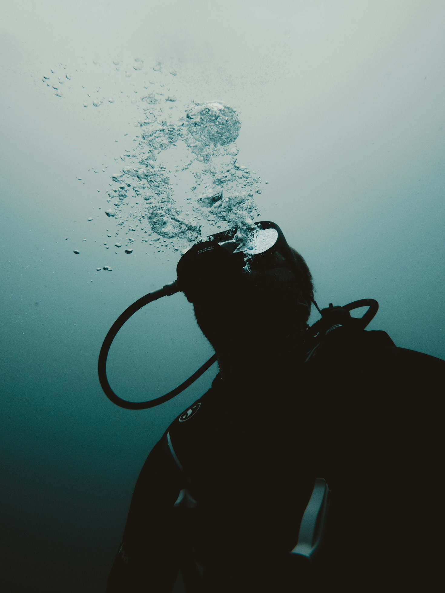 Exploring Recreational vs Professional Diving